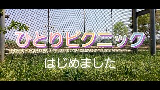 [１人ピクニック]仕事がある日はゴザとテーブル持って公園へ行こ～