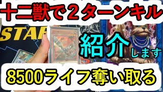 【遊戯王】十二獣で２ターンキル８５００ライフ奪い取る紹介【十二獣】