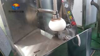 Automatic Coconut Peeler, coconut peeling machine