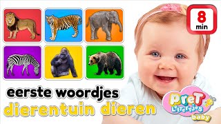 Woordjes leren • DIERENTUIN DIEREN • Baby tv Nederlandse baby filmpjes