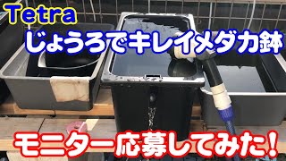 【めだか】怒られるなぁ～　Tetra　じょうろでキレイメダカ鉢　酷評してしまいました。　Ｂ型おやじ