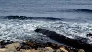 Tide coming in at Point Pleasant Park, in Halifax Nova Scotia