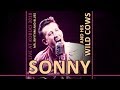 SONNY AND HIS WILD COWS | ROCKABILLY SHOW | KOBUCI | 2018