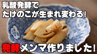 The original menma, which is made by lactic acid fermentation, is made from Japanese bamboo shoots.