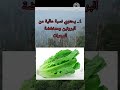 أربع فوائد مذهلة للخس