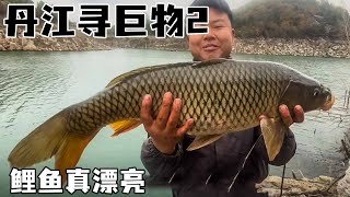 On the second day of Danjiang's search for giant objects, the news from the anglers was accurate. T