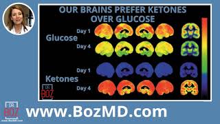 BEGINNER'S GUIDE TO KETOSIS by Dr  Boz annette bosworth-