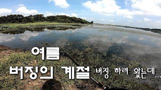 [파워훅킹] 배스 그리고 여름 버징하러 갔는데 왠걸