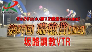 【2024坂路調教映像】9/26（木）　第12競走　瑞穂賞