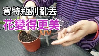 【妙招老媽】只要用一個寶特瓶就能讓你的花瞬間變美