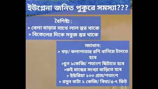 ইউগ্লেনা জনিত লাল স্তর? why Euglena affected on pond????