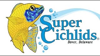 Super Cichlids Tour