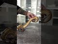 【閲覧注意！】ボールパイソン大迫力捕食シーン。 ボールパイソン ballpython 可愛い 爬虫類 専門店 命に感謝 衝撃映像 へび deu 捕食シーン