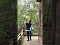 found an old japanese shrine in the forest