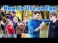 How to Use an Egg [Official Music Video]