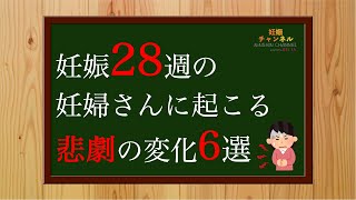 【妊娠28週】妊娠28週に起こる悲劇の変化、、ご存知ですか？