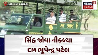 Amreli News| સિંહ જોવા નીકળ્યા CM ભૂપેન્દ્ર પટેલ | CM Gujarat | Lion Safari | Gujarat | News 18|N18V