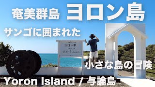 【与論島②】ヨロン島、魅力スポット多すぎ！初日から濃い旅ができるおすすめコースご紹介！