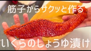 【保存版】誰でも簡単に楽しく筋子からいくらの醤油漬けを作る方法！【ほぐし方/いくら丼/秋鮭】