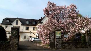 Bernkastel-Kues op der däitscher Musel - Museldall an Däitschland