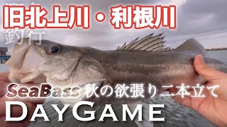 【爆釣】宮城でボウズだったからそのまま利根川まで5時間かけて走ったらサクッと爆釣した