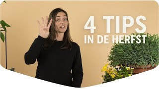 4 tips voor de moestuin in het najaar