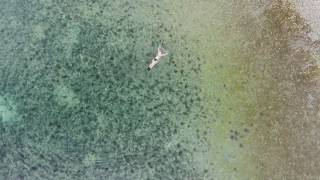 Beach in Morges, Switzerland. Swimming in the after winter cold lake of Geneva. Drone fly.