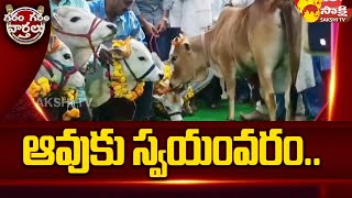 Grand Swayamvaram Ceremony Was Held in Kakinada For The Punganur Cow Sarana | @SakshiTV