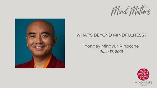 'What's Beyond Mindfulness' feat. Yongey Mingyur Rinpoche | MLE Mind Matters