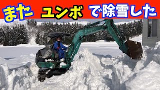 2022-01-08　うちの周りをユンボ（バックホー）で除雪しました。とても下手くそな操縦です。