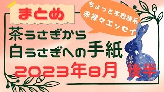 【まとめ】茶うさぎから白うさぎへの手紙 2023年8月前半