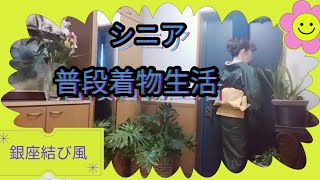 【シニア普段着物👘生活】春一番！緑の大島紬に黄色の名古屋帯。似合っているかしら？？？