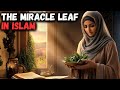 The FORBIDDEN Islamic Superfood That Big Pharma HATES