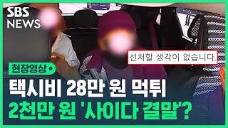 "경찰에 잡히자 선처 호소 중"...택시비 28만 원 먹튀 사건 결말은 '벌금 2천만 원?' (현장영상) / SBS