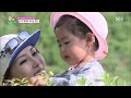 쌍둥이 싸움은 칼로 물베기 감동의 화해 뽀뽀~ @오 마이 베이비 66회 20150530