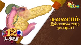 கணையம் இல்லாமல் வாழ முடியுமா?  | 12 Tucker | Adithya TV