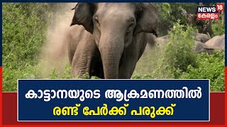 Wayanad Chekadiയിൽ കാട്ടാനയുടെ ആക്രമണത്തിൽ രണ്ട് പേർക്ക് പരുക്ക് | Wild Elephant Attack | Wayanad