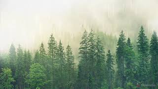 Very relaxing music,with nice backgrounds and raindrops.വളരെ ശാന്തമായ സംഗീതംmusik yang sangat menena