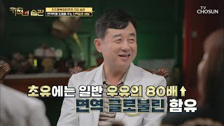 살은 빠지고 면역력에 도움 주는  『초유단백질』   [기적의 습관] 28회 20200519