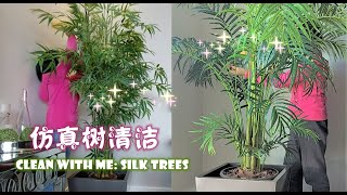 vlog|主妇加拿大移民慢生活 仿真树清洁 红掌换盆 做椒盐红烧排骨 Silk tree cleaning, Anthurium repotting, make Braised Pork Ribs