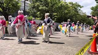 【ほにや】　原宿表参道元氣祭　スーパーよさこい２０２４