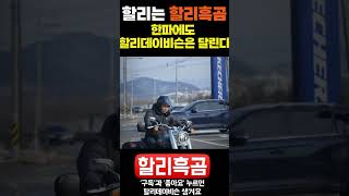 할리데이비슨은 한파에도 달린다. 팻보이 할리데이비슨남양주점  #할리흑곰