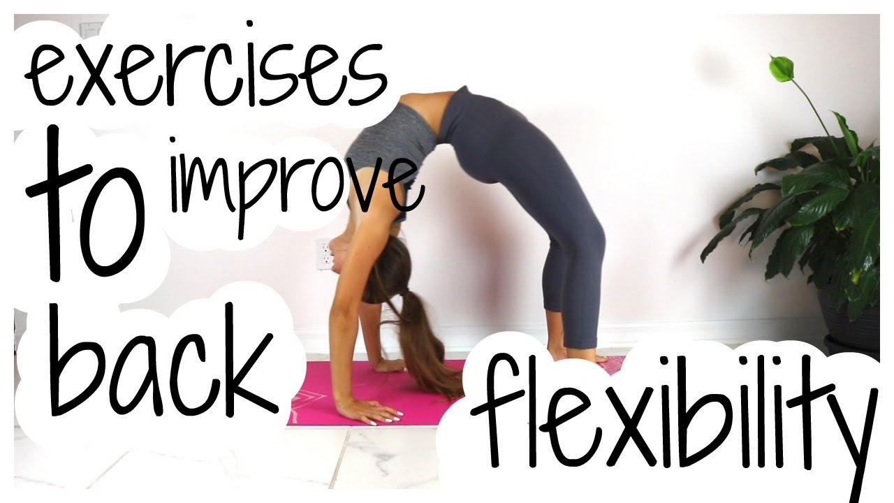 Back Flexibility Exercises | Improve Back Flexibility - YouTube