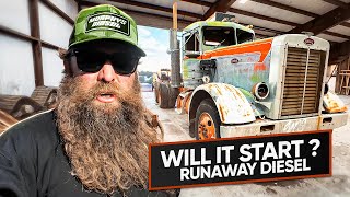 WILL IT START? Rare 358 Peterbilt Abandoned For 40 Years!!