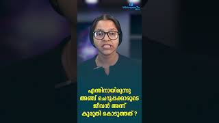 എന്തിനായിരുന്നു അഞ്ച് ചെറുപ്പക്കാരുടെ ജീവൻ അന്ന് കുരുതി കൊടുത്തത് ? | SFI | WHITESWAN TV NEWS