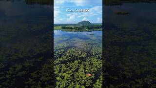 Kondakarla Aava fresh water lake #pond #lake #lakeview #drone #dji #dronevideo #viralshort #viral