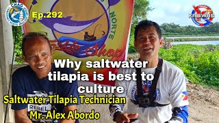 Ep.292 Why Saltwater Tilapia is best to culture