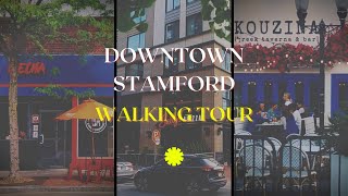 Discovering Stamford Downtown: Exploring the Heart of Connecticut's City