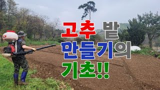 봄비를 맞으면서 고추밭을 만들러 왔습니다.