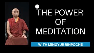 5-Minute Awareness & Compassion Meditation I Mingyur Rinpoche